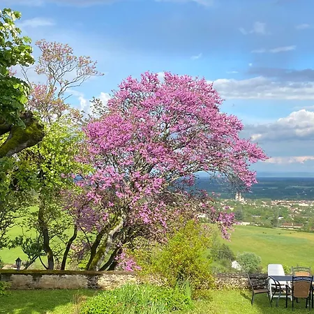 La Montagne Bed & Breakfast Azas
