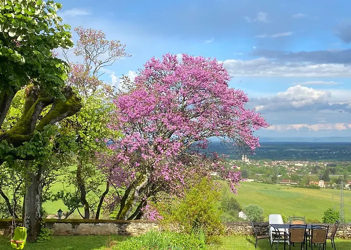 La Montagne Bed and breakfast Azas